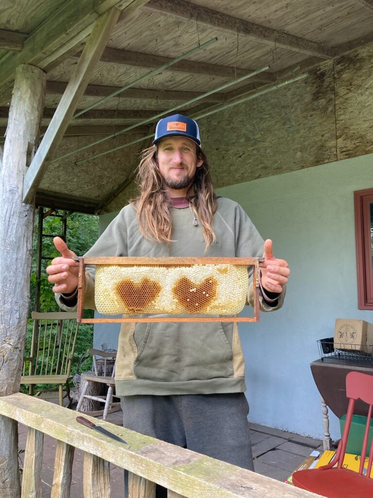Des Moines Honey Bee Removal
